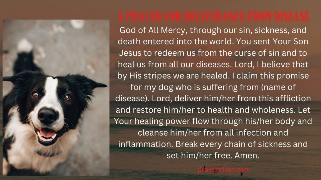 A Prayer for Deliverance from Disease