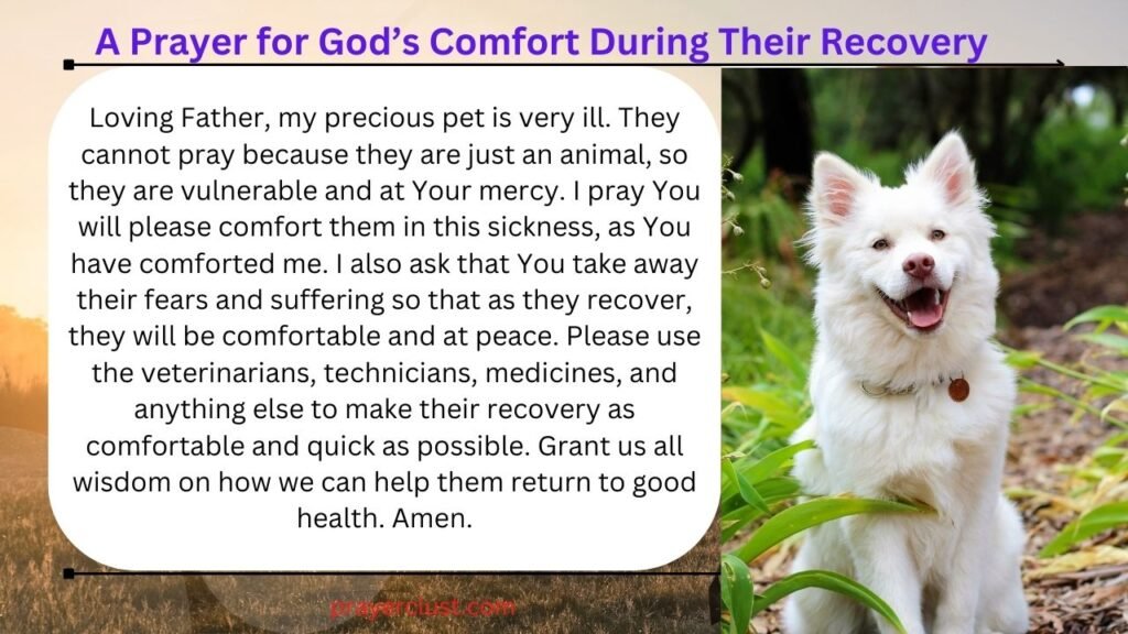 A Prayer for God’s Comfort During Their Recovery