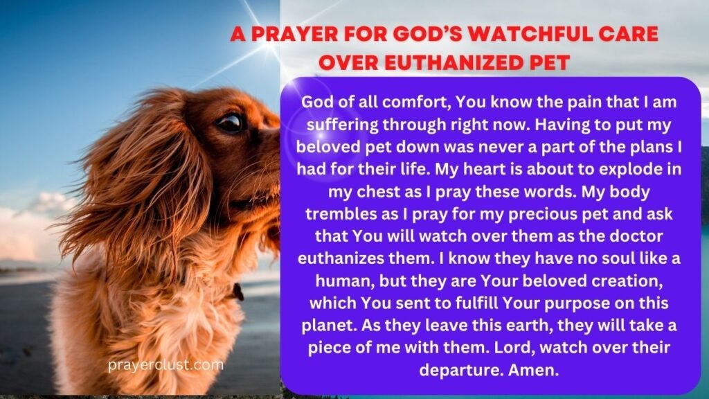 A Prayer for God’s Watchful Care Over Euthanized Pet
