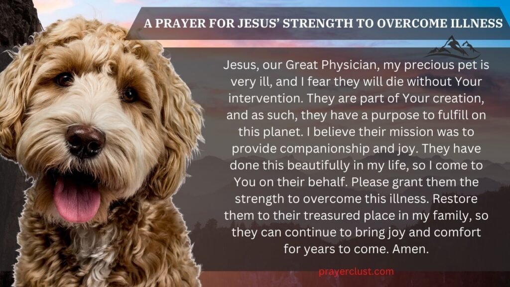 A Prayer for Jesus’ Strength to Overcome Illness