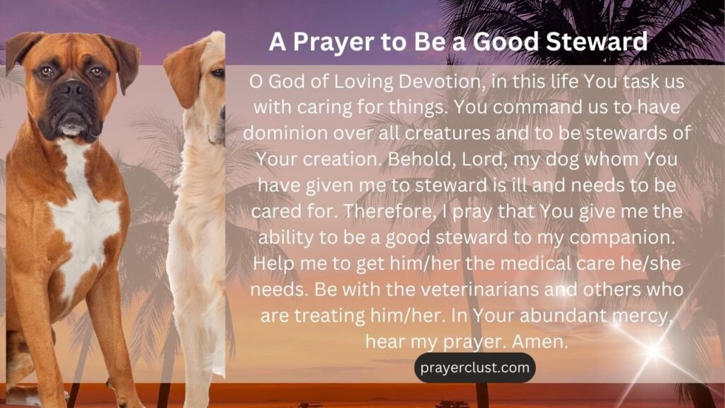 A Prayer to Be a Good Steward