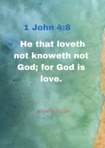 1 John 4:8