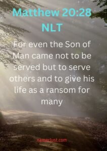 Matthew 20:28 NLT