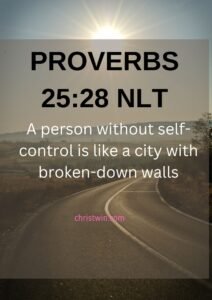 Proverbs 25:28 NLT