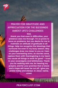Prayer for gratitude and appreciation for the blessings amidst life's challenges