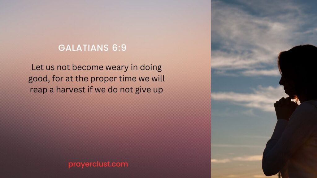 Galatians 6