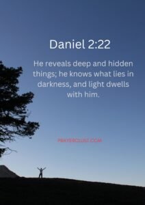 Daniel 2:22