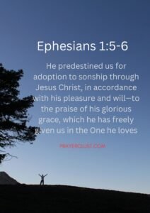 Ephesians 1:5-6