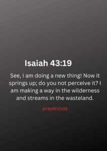 Isaiah 43:19