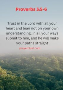 Proverbs 3:5-6