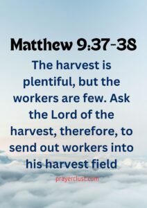 Matthew 9