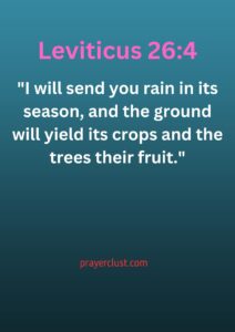 Leviticus 26:4